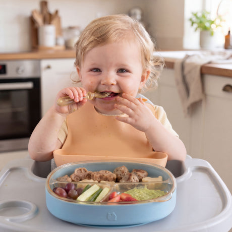 12M+: <br>Guided self-feeding
